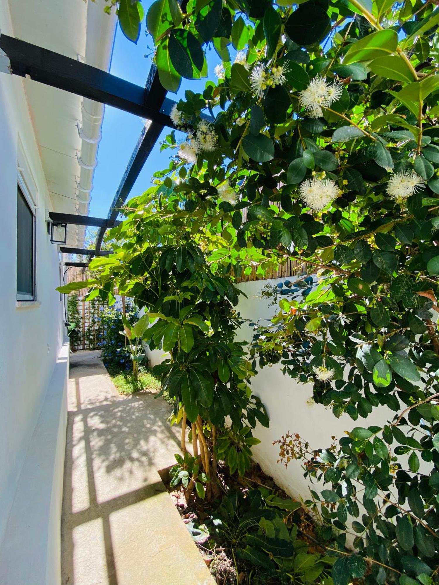 Gem Of Viso Villa Setúbal Exteriör bild